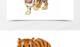 虎动漫,激荡青春，热血沸腾的动漫世界